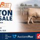 WINTON BULL SALE 2026