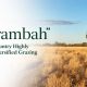 Warrambah