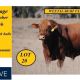 Go to Golden Advantage Sale 2024