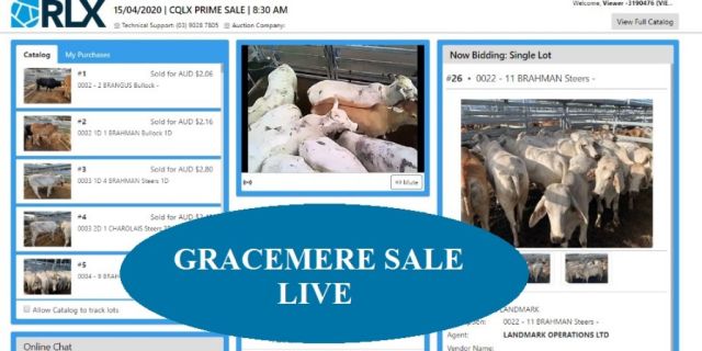 Gracemere live on Wednesdays