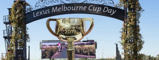 MELBOURNE CUP  (LET M.D.M. HELP PICK YOU A WINNER)