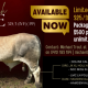 Go to Our 2024 Brahman Week Acquisition.