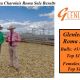 Glenlea Beef  Charolais Bull Sale Roma