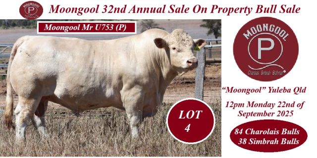 Moongool 32Annual Bull Sale.