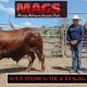 MAGS 2020 SALE