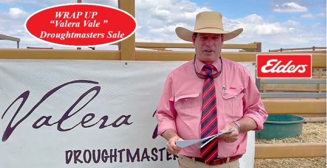 Valera Vale 2024 Droughtmasters Sale