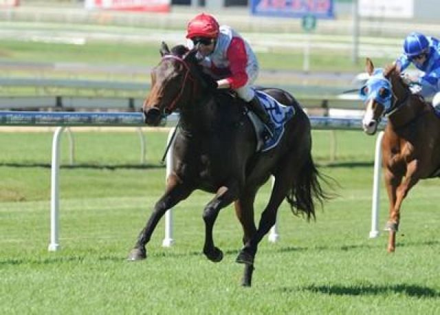 Brisbane winter carnival, the filly Shadow Lawn