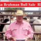 Ponderosa Brahman Bull Sale RESULTS