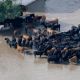 Let's spare a thought for our friends in Texas