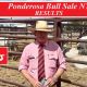 24th  ANNUAL PONDEROSA INVITATIONAL BULL SALE