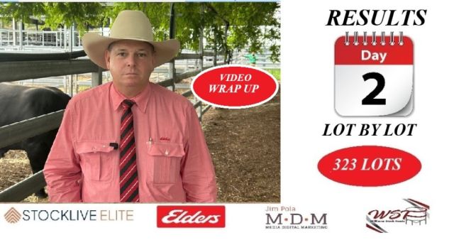 2025 February All Breeds Bull & Female Sale..