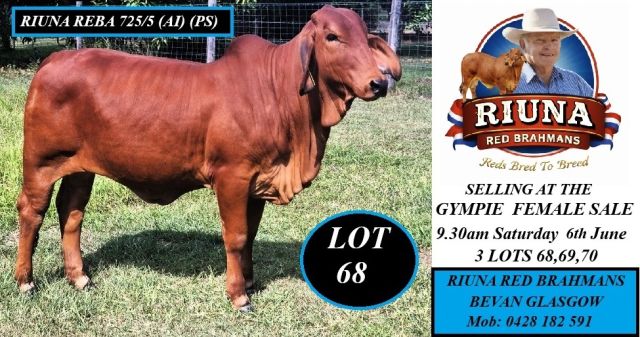 Riuna Red Brahmans Stud