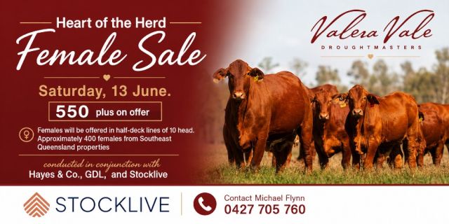 Heart of the Herd Female Sale