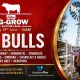 AG-GROW ELITE BULL SALE 2026