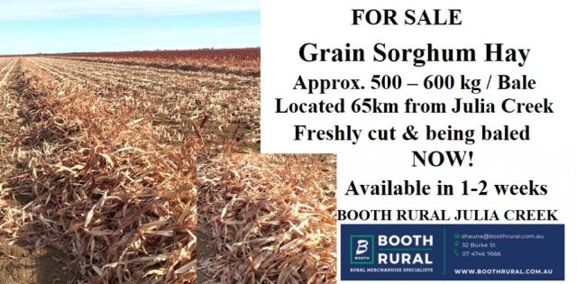 FOR SALE GRAIN SORGHUM  HAY