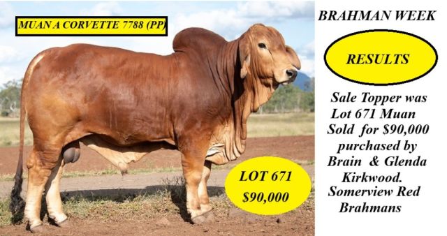 Brahman Week Sale 2024