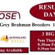 Elrose SALE Day DAY 1,2,3,