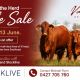 Heart of the Herd Female Sale