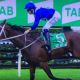 Winx 31st consecutive victory