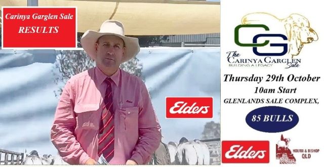 Carinya Garglen Sale 2024