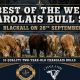 Go to Best of the West Charolais Bull Sale