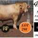 Go to Glenlea Beef Selling FAB Sale