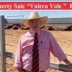 On Property Sale “Valera Vale ” Droughtmasters