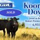 Kooringa Downs