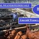 Go to CQLX AND EMERALD WEANER/FEEDER RESULTS
