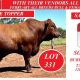 FEBRUARY ALL BREEDS BULL & FEMALE SALE 2026