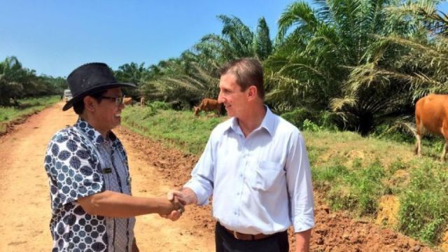 Indonesian cattle demand spells big things for Northern Territory