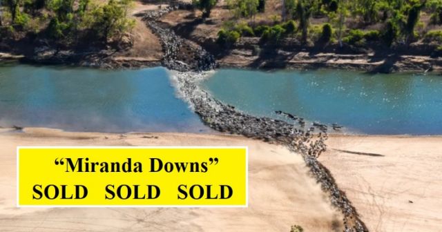 “Miranda Downs”  SOLD