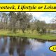 Livestock, Lifestyle or Leisure