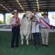 Go to Champions of the World Brahman Congress