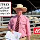 MOONGOOL ON PROPERTY BULL SALE