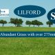 LILFORD