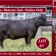 Murdeduke Online Only Female Production Sale (2025)