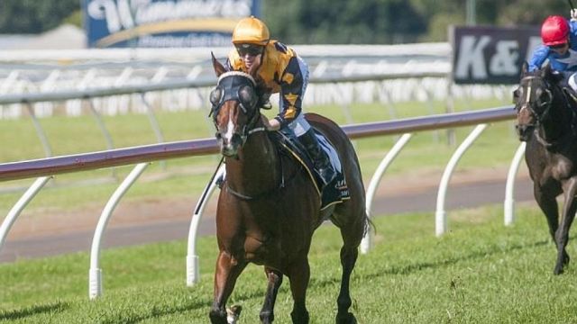New Queensland Rocket next Our Boy Malachi