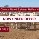 Go to 400 Chance Mated Brahman Heifers No. 5