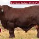 Go to Yarrabee Santa Sale