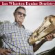 Ian Wharton Equine Dentistry