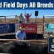 Richmond Field Days All Breeds Bull Sale
