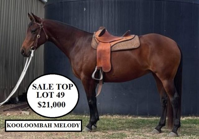 Ag-Grow Premier Horse Sale RESULTS
