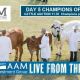 Go to Live Action At The EKKA