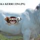 Go to Gympie Female Sale 2021 RESULTS