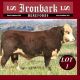 Go to Ironbark Herefords 52nd Annual Sale.