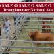 SALE O SALE O DAY 2