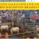 SALE O SALE O DAY TWO (RBW)