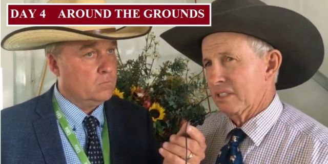 AROUND THE GROUNDS AT EKKA
