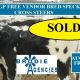 Go to 136 VGQ HGP FREE VENDOR BRED SPECKLE PARK CROSS STEERS